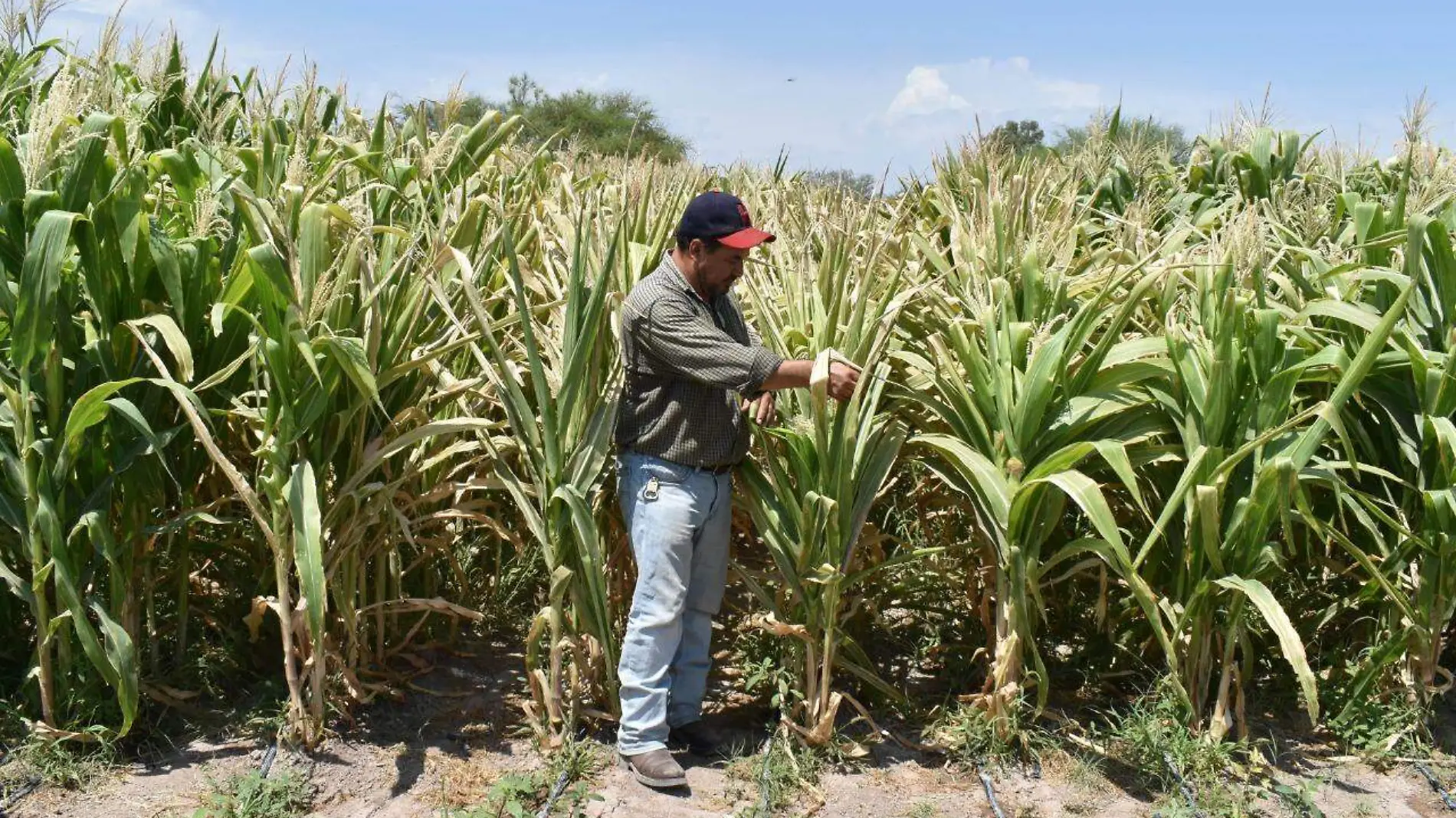 15 COBIAN 2   Un millon 600 en equipo para productores en FIM